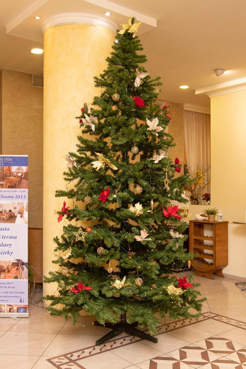 Hotel Bila Ruze Писек Экстерьер фото